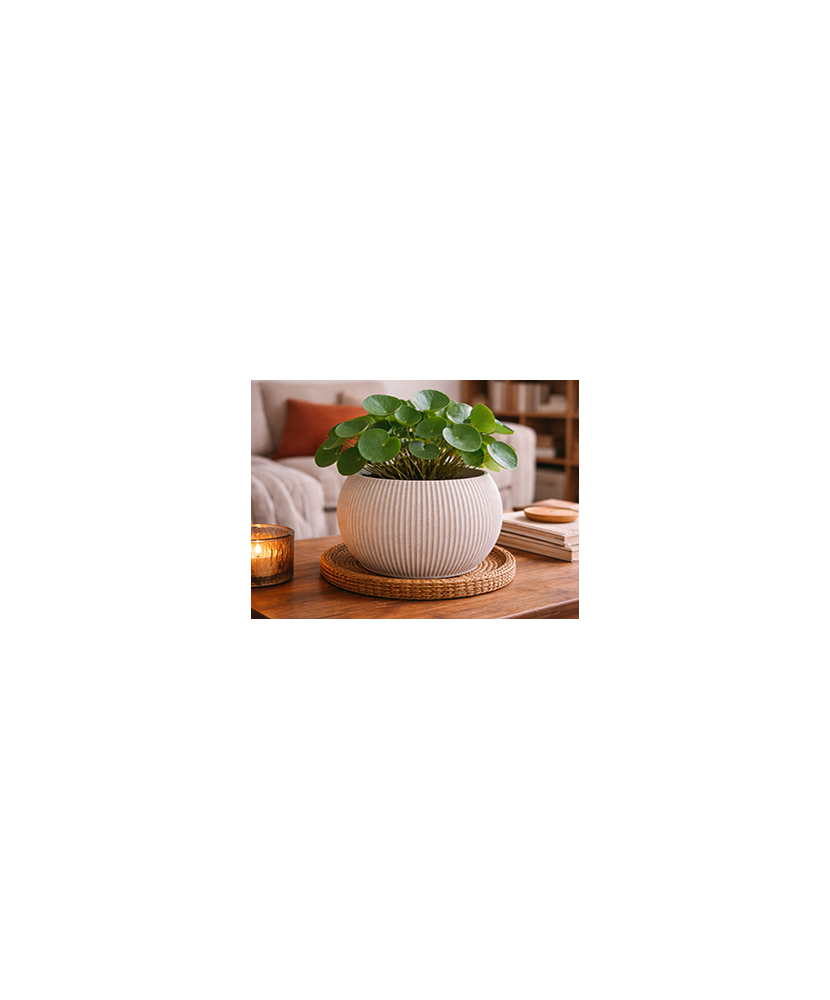 Pot Rond