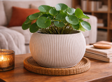 Pot Rond